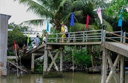 Hỗ trợ xây dựng và nâng cấp cầu nông thôn ở Cần Thơ
