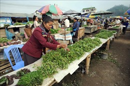 Lào: Trợ cấp và nâng lương tối thiểu cho người lao động