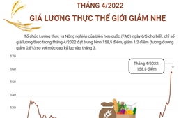 Tháng 4/2022, giá lương thực thế giới giảm nhẹ