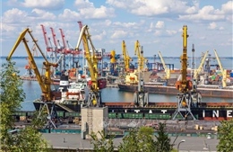 WFP kêu gọi mở lại các cảng ở miền Nam Ukraine để xuất khẩu lương thực