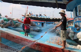 Nhiều tàu cá tại Trà Vinh nằm bờ vì giá nhiên liệu tăng cao