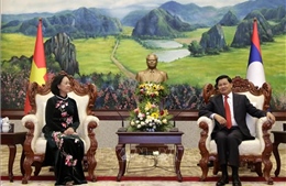Đồng chí Trương Thị Mai thăm và làm việc tại Lào