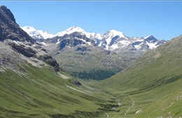 Tuyết tan chảy, đỉnh Alps đang &#39;xanh hóa&#39; mạnh mẽ