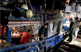 Bình Thuận: Cấp cứu kịp thời ngư dân bị nạn trên biển