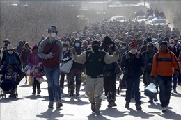 Hình thành đoàn người di cư ở Mexico tìm đường tới Mỹ