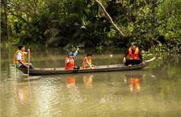 Nghiên cứu xây dựng thêm những sản phẩm du lịch đặc trưng của xứ Dừa