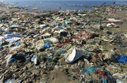 Nan giải tình trạng ô nhiễm rác thải ở nhiều địa phương ven biển Quảng Ngãi