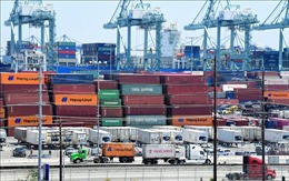 Mỹ tìm cách tháo gỡ tình trạng ùn đọng hàng hóa xuất khẩu