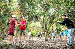 Phát triển du lịch vườn ở Đồng Nai