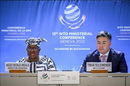 Các bên hy vọng đạt thỏa thuận về những vấn đề quan trọng tại Hội nghị Bộ trưởng WTO