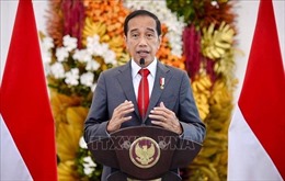 Tổng thống Indonesia tiết lộ &#39;vũ khí&#39; đảm bảo khả năng tự cung tự cấp gạo