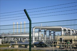 Đức kêu gọi châu Âu nỗ lực giảm phụ thuộc nhiên liệu hoá thạch của Nga