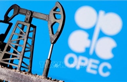 OPEC+ quyết định giữ nguyên chính sách sản lượng dầu