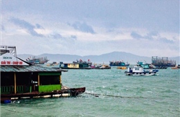 Các tỉnh, thành phố từ Quảng Ninh đến Bình Thuận chủ động ứng phó với bão số 7