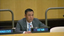 Việt Nam thúc đẩy hợp tác ASEAN – ESCAP trong thực hiện Mục tiêu phát triển bền vững