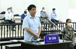 Ngày 25/8, xét xử bị cáo Nguyễn Đức Chung trong vụ nâng khống giá cây xanh
