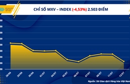 Nhóm năng lượng và nông sản lao dốc mạnh mẽ