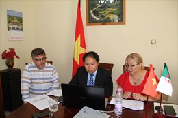 Thúc đẩy thương mại và hợp tác doanh nghiệp Việt Nam - Algeria