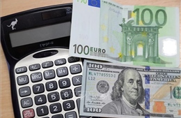 Đồng euro phục hồi sau khi để &#39;thủng&#39; mức ngang giá với đồng USD