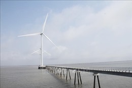 Việt Nam có tiềm năng lớn trở thành trung tâm điện gió ngoài khơi