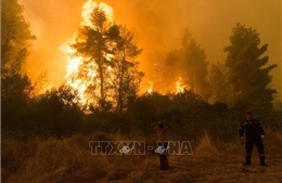 Hy Lạp sơ tán cư dân, du khách trên đảo Lesbos do cháy rừng lan rộng