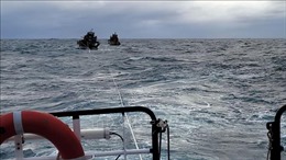 Bà Rịa-Vũng Tàu: Cứu 2 ngư dân tàu cá trôi dạt trên biển