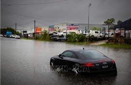 Australia: Lũ lụt nghiêm trọng tại bang Queensland gây thiệt hại gần 5,4 tỷ USD