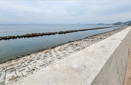 Ninh Thuận đầu tư công trình đê biển chống sạt lở, xâm thực