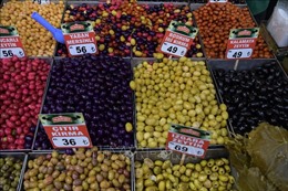 Liban kêu gọi thành lập thị trường chung Arab để đảm bảo an ninh lương thực