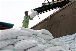 Doanh nghiệp gạo rộng cửa xuất khẩu