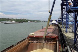 Chuyến tàu đầu tiên chở ngũ cốc của Ukraine rời cảng Odessa 