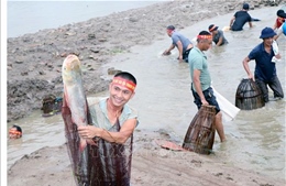 Khôi phục lễ hội bắt cá truyền thống tại các vùng quê Hà Tĩnh