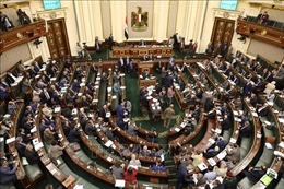 Quốc hội Ai Cập thông qua đề xuất cải tổ nội các lớn nhất trong 3 năm 