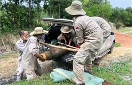 Quảng Trị: Tập trung rà phá diện tích đất bị ô nhiễm bom chùm