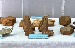 Nhiều phát hiện khảo cổ ở phế tích Châu Thành 