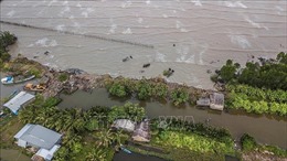 Tăng trưởng tín dụng xanh thúc đẩy Đồng bằng sông Cửu Long phát triển bền vững