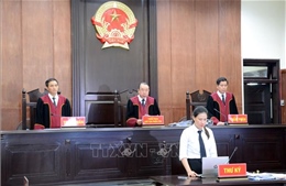 Tòa án nhân dân Cấp cao tại Đà Nẵng đẩy mạnh xét xử trực tuyến