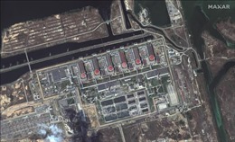 Rosatom sẵn sàng hỗ trợ IAEA thăm nhà máy điện hạt nhân Zaporizhzhia 
