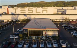 Tỷ phú Elon Musk &#39;tham vọng&#39; bán 20 triệu xe EV vào năm 2030