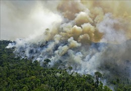 Brazil: Số vụ cháy rừng Amazon tăng cao kỷ lục trong hơn 1 thập kỷ