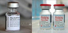 EU cấp chứng nhận cho 2 loại vaccine phiên bản mới ngừa biến thể Omicron