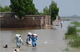 Chủ tịch Quốc hội Vương Đình Huệ gửi thư thăm hỏi về tình hình lũ lụt tại Pakistan