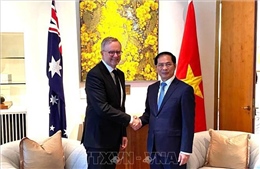 Bộ trưởng Ngoại giao Bùi Thanh Sơn chào xã giao Thủ tướng Australia