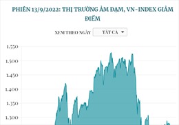 Phiên 13/9: Thị trường ảm đạm, VN-Index giảm điểm