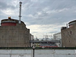 IAEA: Cần giải pháp nhanh chóng loại bỏ tình huống nguy hiểm tại nhà máy Zaporizhzhia