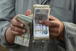 Ai Cập và Nga xem xét sử dụng đồng nội tệ trong thanh toán thương mại 