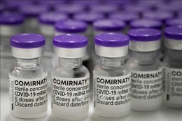 Brazil phê duyệt vaccine ngừa COVID-19 của Pfizer cho trẻ từ 6 tháng tuổi