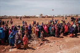 Các nước cam kết hàng trăm triệu USD ngăn chặn thảm hoạ nhân đạo ở vùng Sừng châu Phi