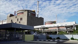 Đường dây điện của lò phản ứng trong nhà máy Zaporizhzhia bị hư hỏng