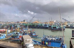 Kiểm tra công tác ứng phó với bão Noru tại các địa phương ven biển Bình Định